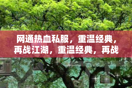 网通热血私服等你来战图片