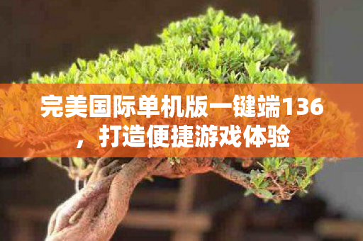完美国际单机版一键端136图片