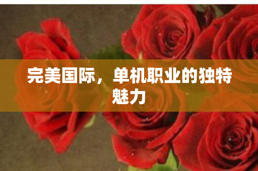 单机职业的独特魅力图片