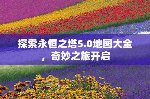 探索永恒之塔5图片