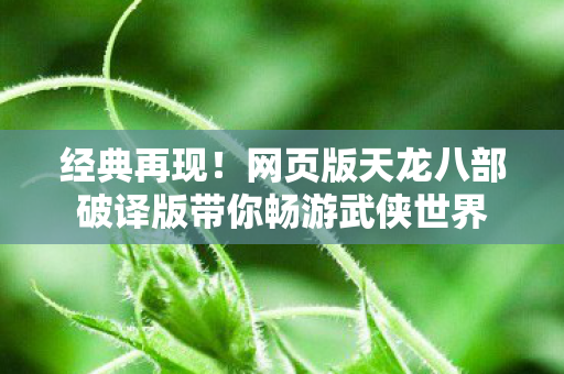网页版天龙八部破译版带你畅游武侠世界图片
