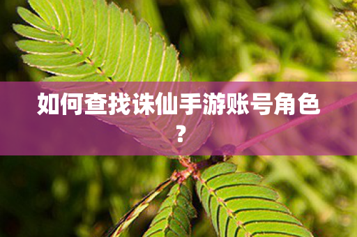 如何查找诛仙手游账号角色图片