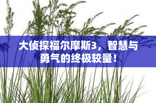 智慧与勇气的终极较量图片