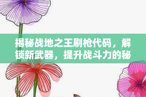 揭秘战地之王刷枪代码，解锁新武器，提升战斗力的秘密
