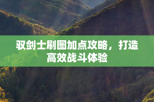 驭剑士刷图加点攻略图片