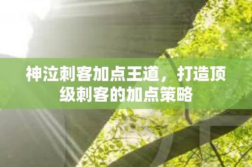 打造顶级刺客的加点策略图片