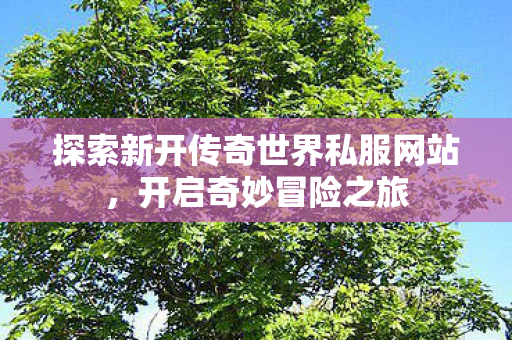 探索新开传奇世界私服网站图片