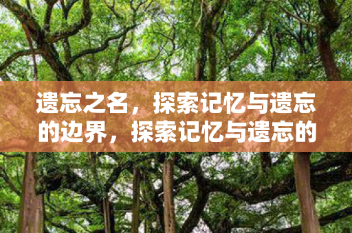 遗忘之名,探索记忆与遗忘的边界,探索记忆与遗忘的边界,遗忘之名 遗忘之名,探索记忆与遗忘的边界,探索记忆与遗忘的边界,遗忘之名