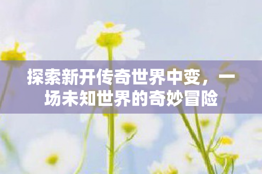 一场未知世界的奇妙冒险图片