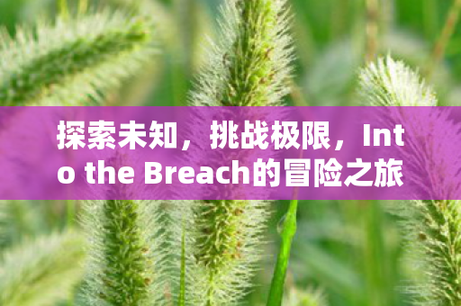 Into the Breach的冒险之旅图片