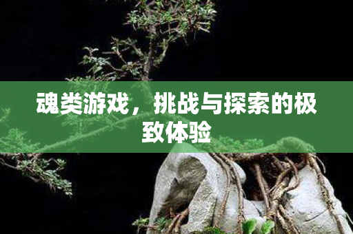 挑战与探索的极致体验图片