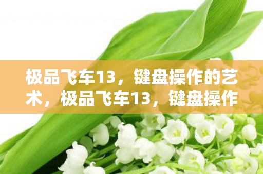 键盘操作的艺术图片