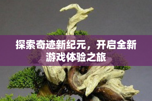 开启全新游戏体验之旅图片