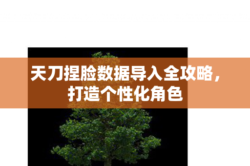 天刀捏脸数据导入全攻略图片
