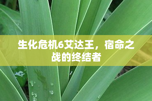生化危机6艾达王图片