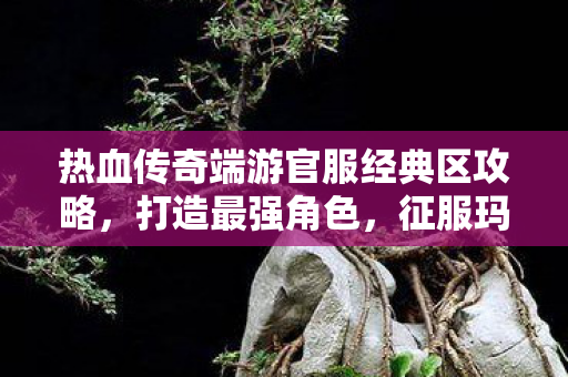 热血传奇端游官服经典区攻略图片