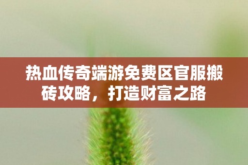 热血传奇端游免费区官服搬砖攻略图片