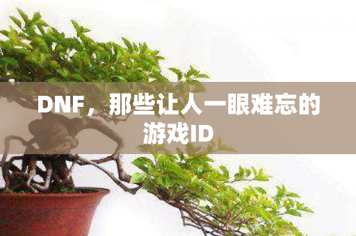 那些让人一眼难忘的游戏ID图片