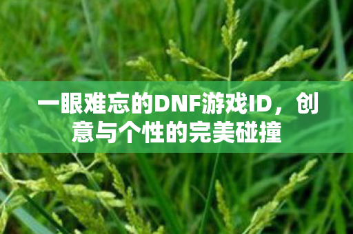 一眼难忘的DNF游戏ID图片