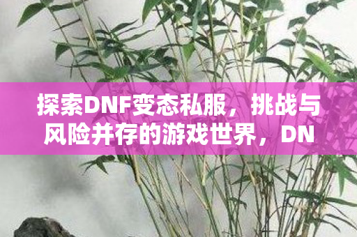 挑战与风险并存的游戏世界图片