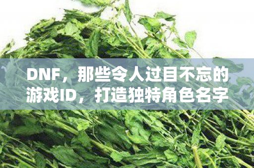 那些令人过目不忘的游戏ID图片