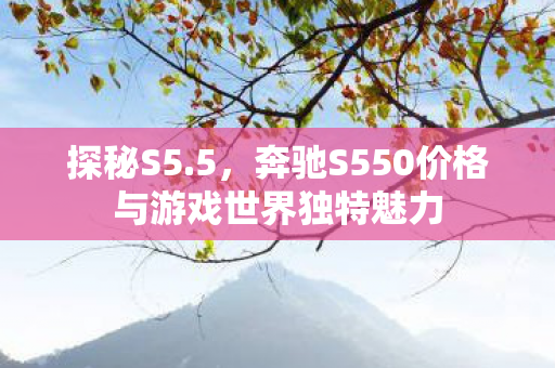 奔驰S550价格与游戏世界独特魅力图片