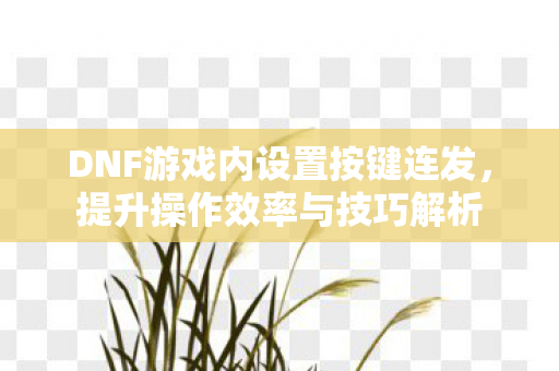 DNF游戏内设置按键连发图片
