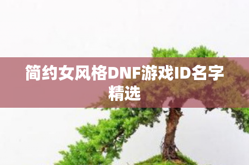 简约女风格DNF游戏ID名字精选图片