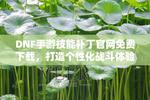 DNF手游技能补丁官网免费下载图片