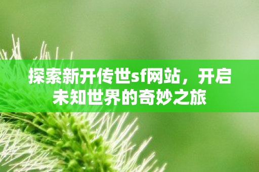 开启未知世界的奇妙之旅图片