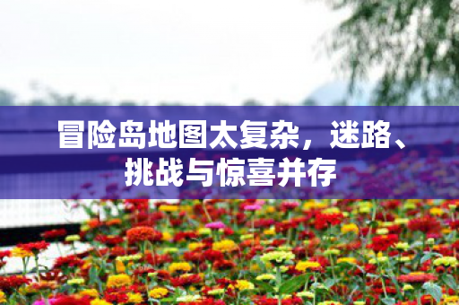 冒险岛地图太复杂图片