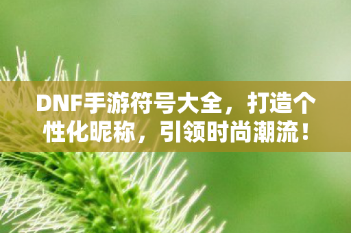 DNF手游符号大全图片