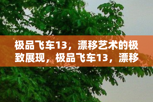 极品飞车13，漂移艺术的极致展现，极品飞车13，漂移艺术的巅峰盛宴
