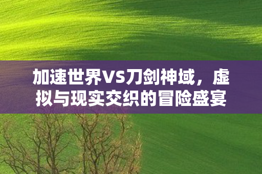 虚拟与现实交织的冒险盛宴图片