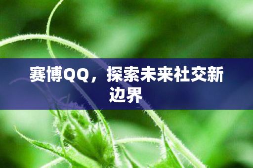 探索未来社交新边界图片