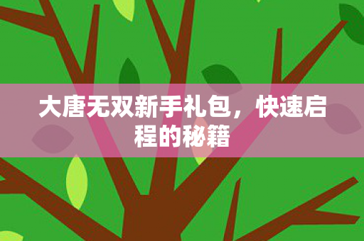 大唐无双新手礼包图片
