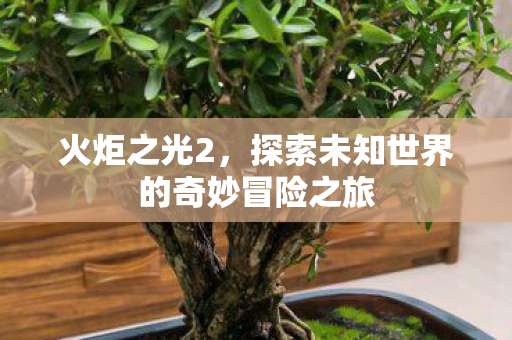 探索未知世界的奇妙冒险之旅图片
