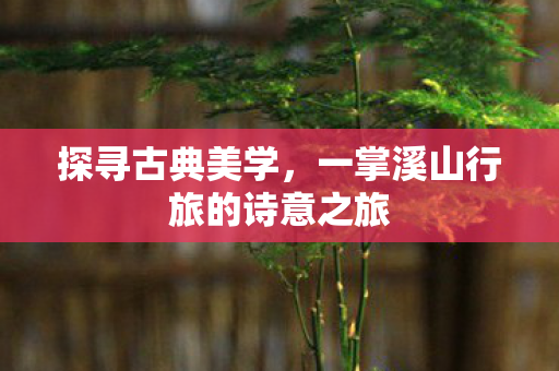 一掌溪山行旅的诗意之旅图片