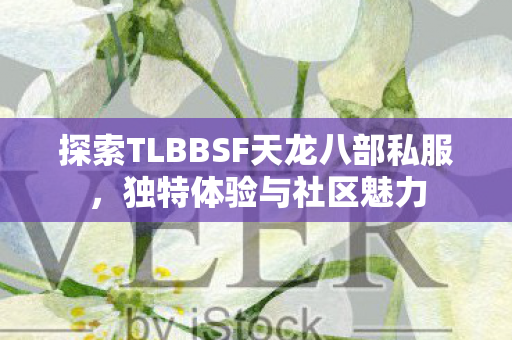 探索TLBBSF天龙八部私服图片
