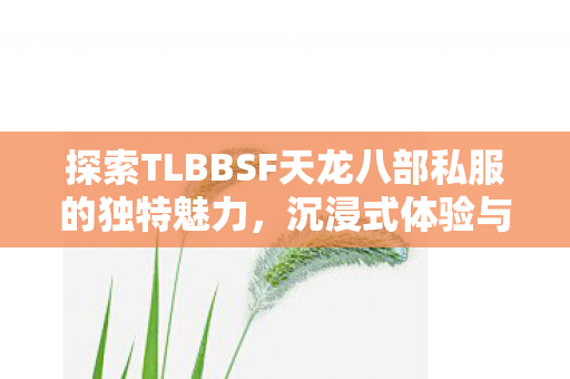 探索TLBBSF天龙八部私服的独特魅力图片