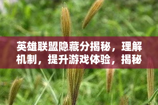 英雄联盟隐藏分揭秘图片