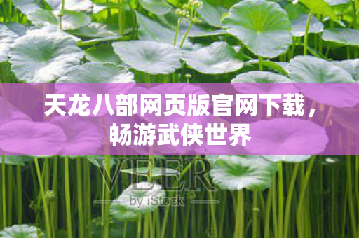 天龙八部网页版官网下载图片