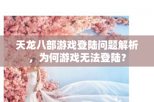天龙八部游戏登陆问题解析图片