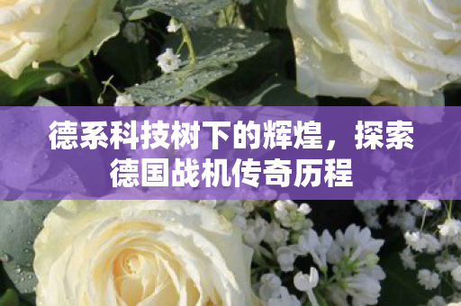 探索德国战机传奇历程图片