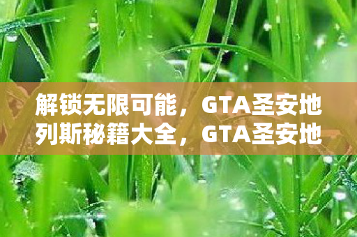 GTA圣安地列斯秘籍大全图片