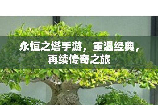 永恒之塔手游图片