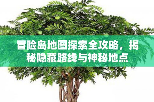 揭秘隐藏路线与神秘地点图片