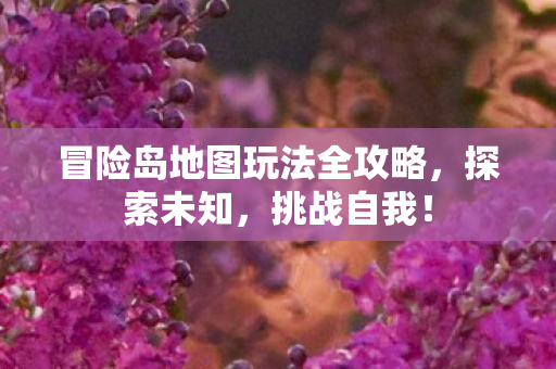 冒险岛地图玩法全攻略图片