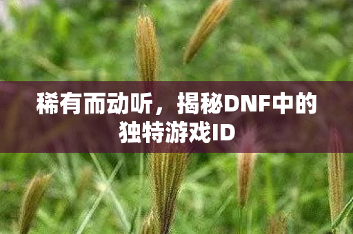 揭秘DNF中的独特游戏ID图片