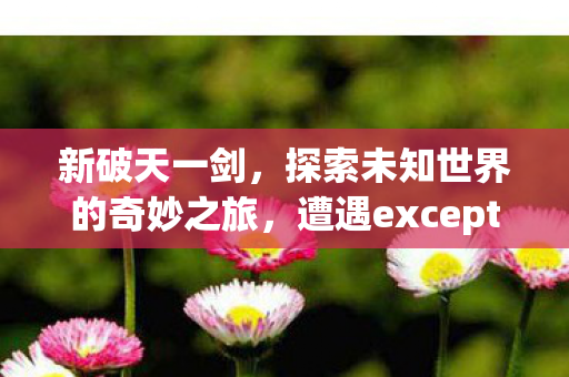 遭遇exception oxcoooooo5弹窗图片